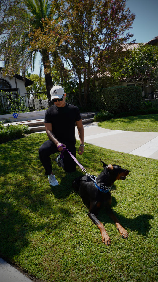 Dober & Co. Soft Baseball Cap