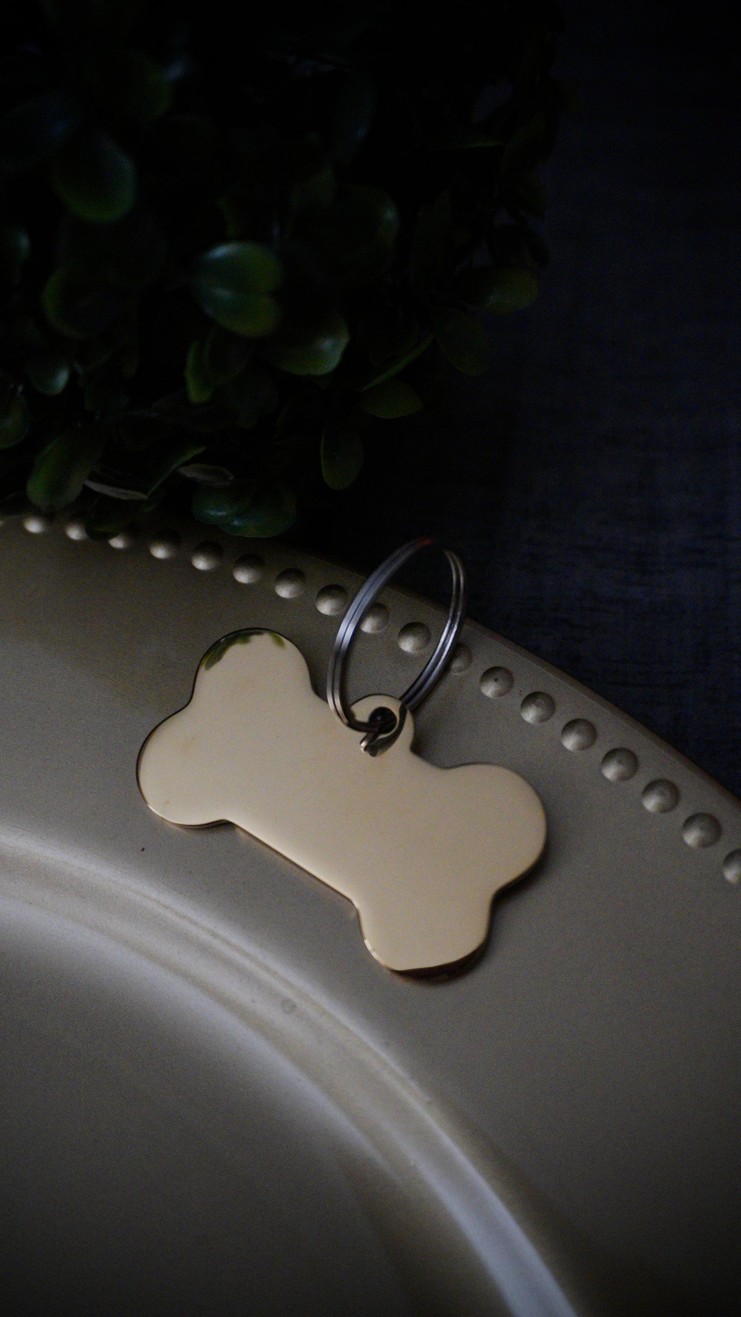 Dober & Co. Custom Laser-Engraved Pet Tag